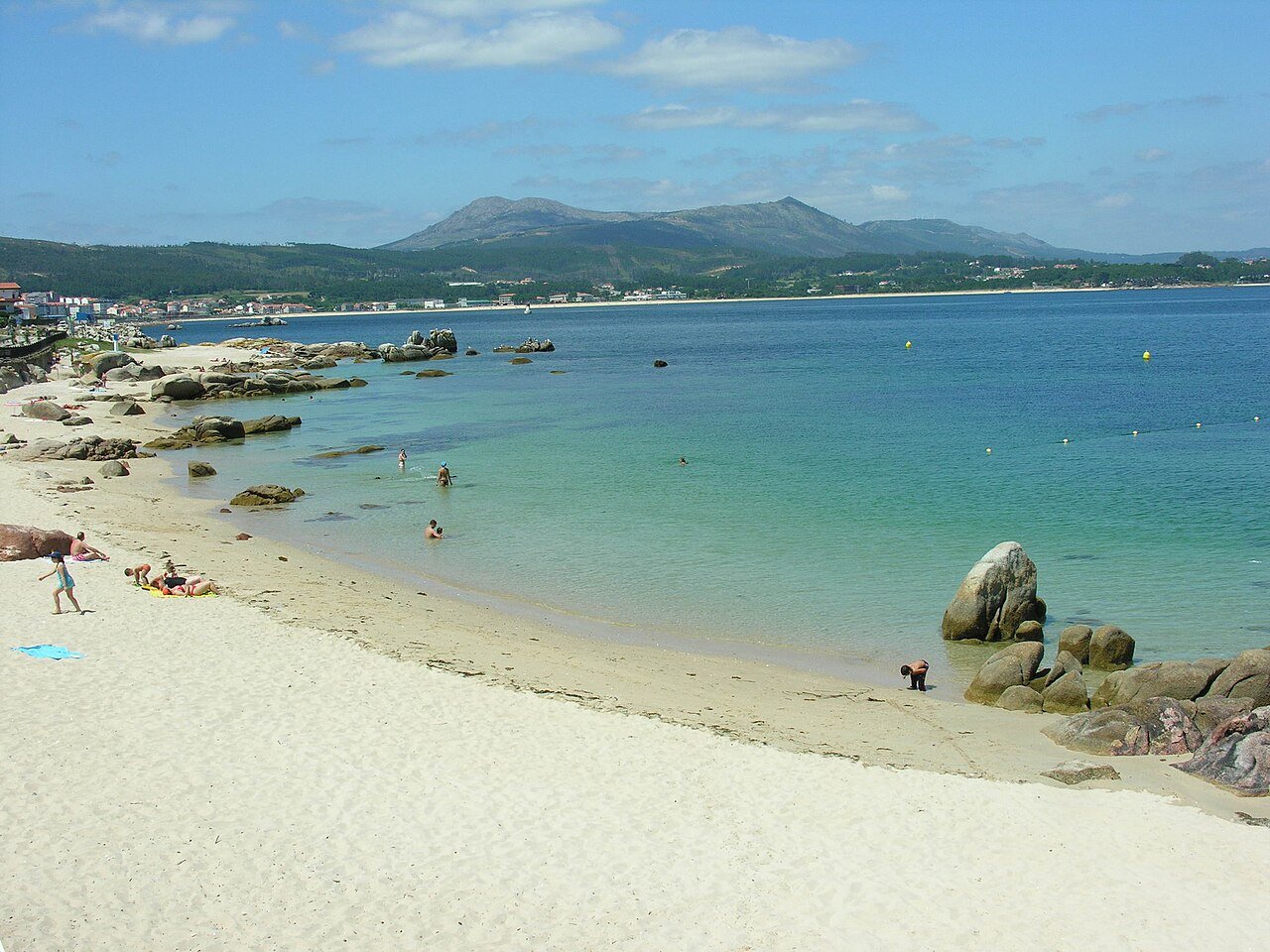 Foto de Touro por @baseline_wikimedia