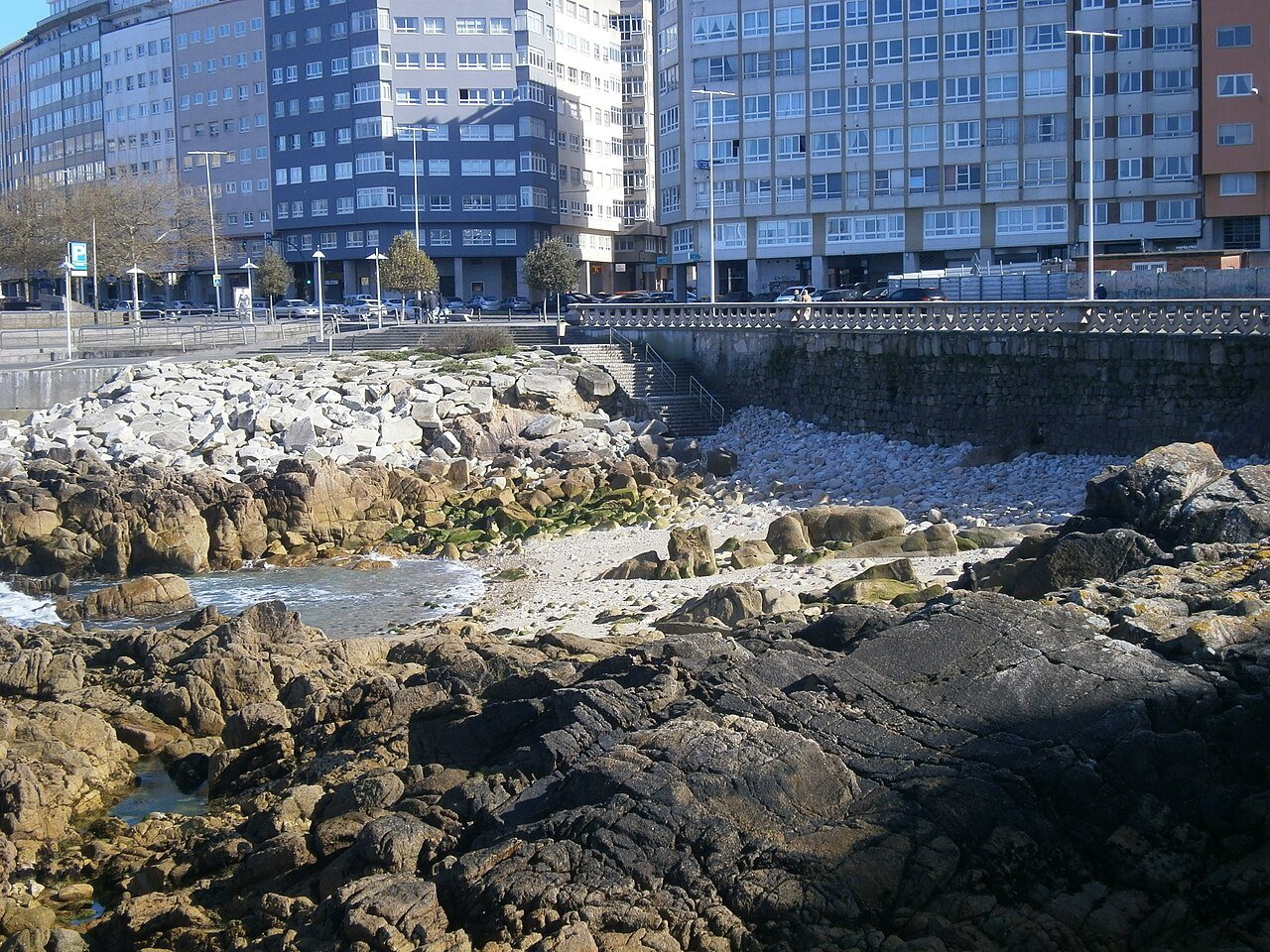 Foto de Lino por @baseline_wikimedia