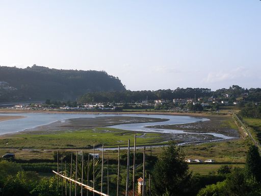 Misiego