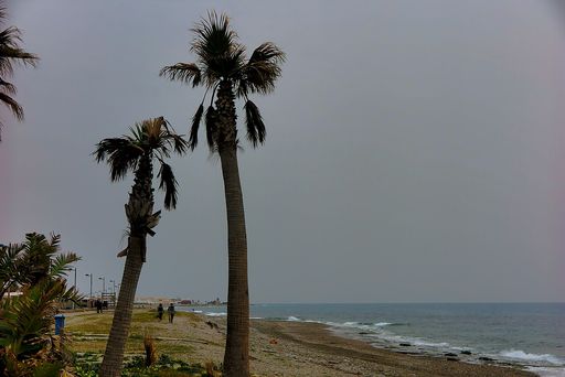 Carchuna