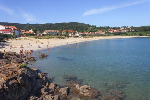 Sardiñeiro