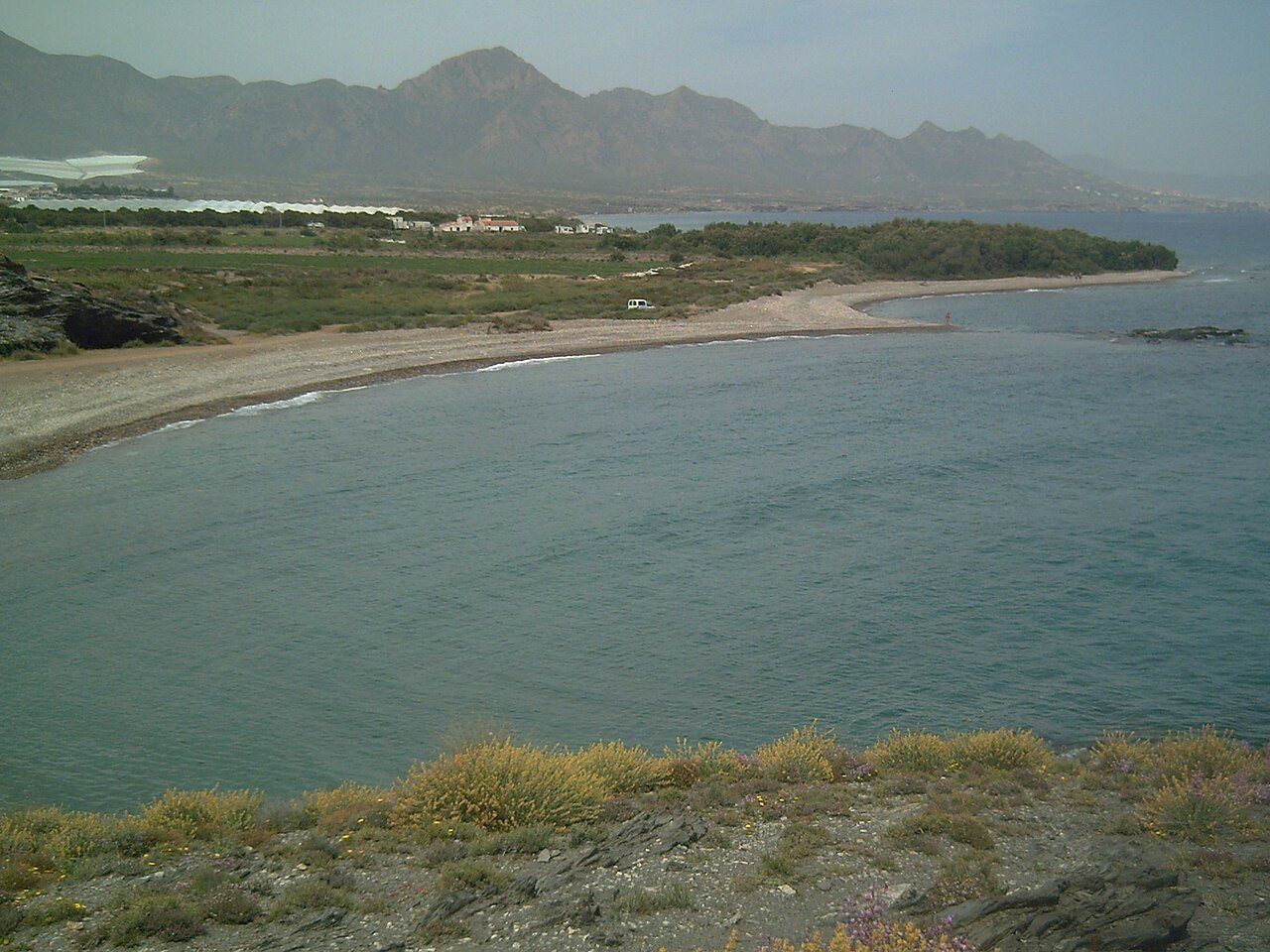 Foto de Ballenato por @baseline_wikimedia