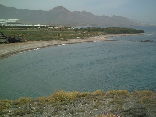 Ballenato
