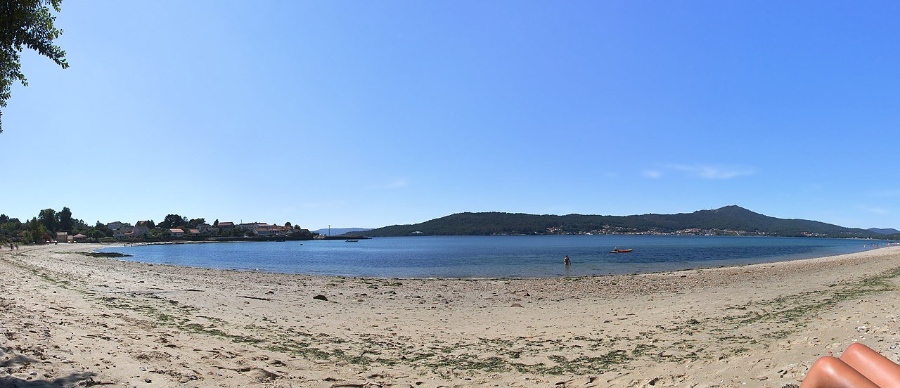 Foto de Boa por @baseline_wikimedia