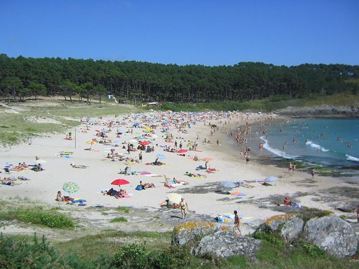Melide