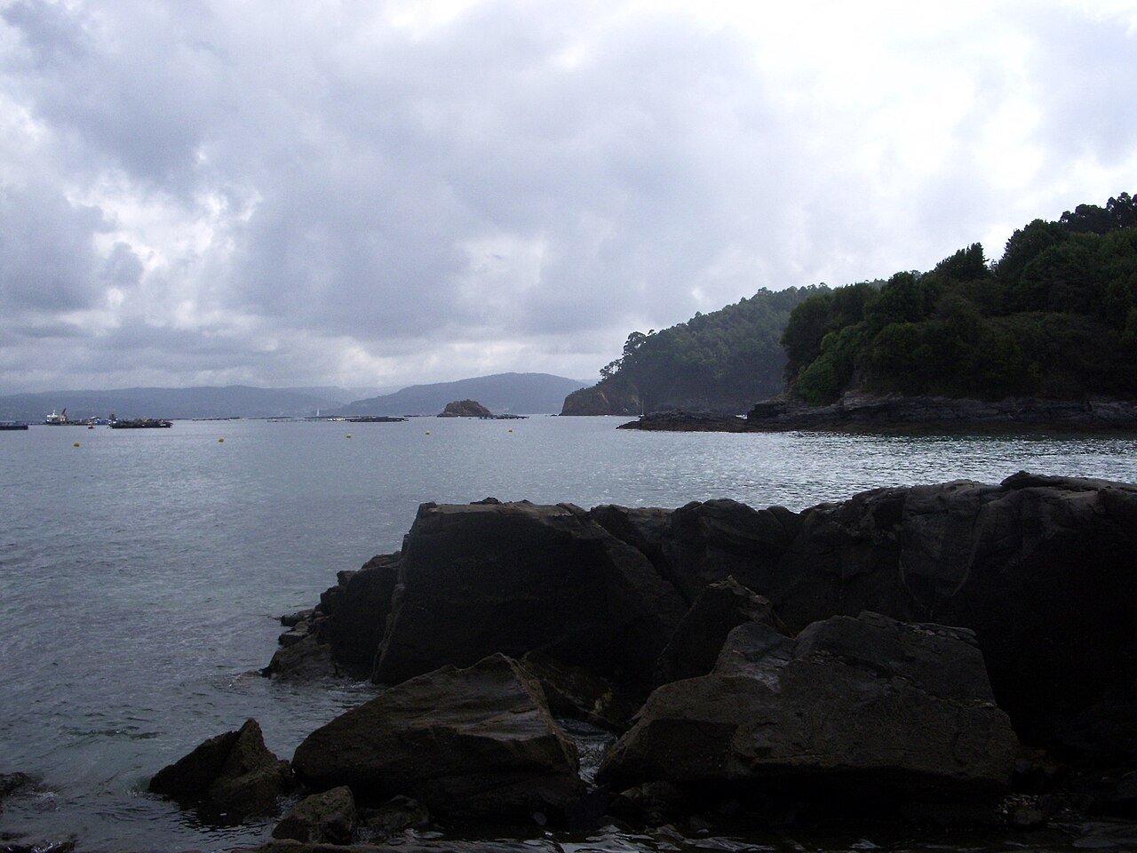 Foto de Cirro por @baseline_wikimedia