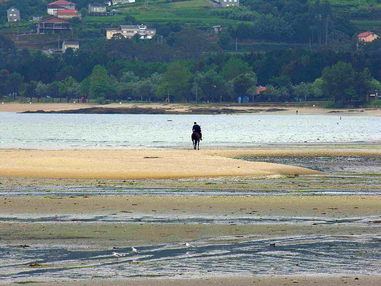 Foto de Barraña por @baseline_wikimedia