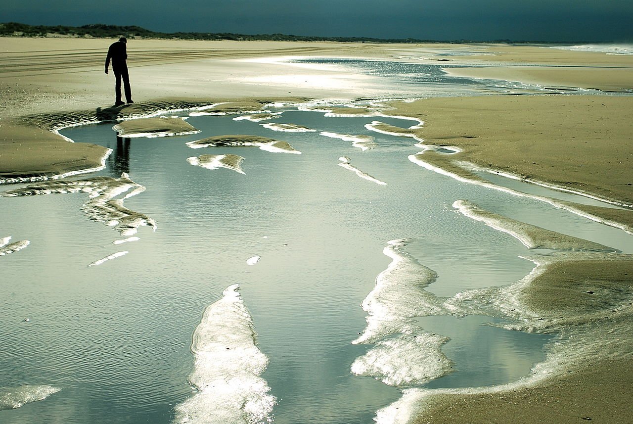 Foto de Doñana por @baseline_wikimedia
