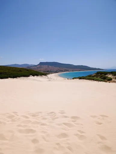 Bolonia
