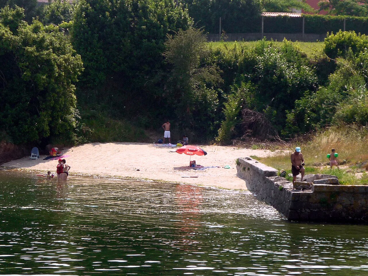 Foto de Raposiños por @baseline_wikimedia