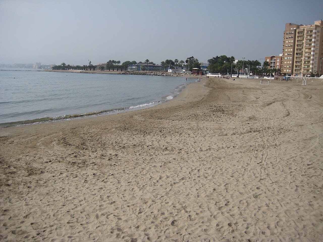 Foto de Morrongo por @baseline_wikimedia