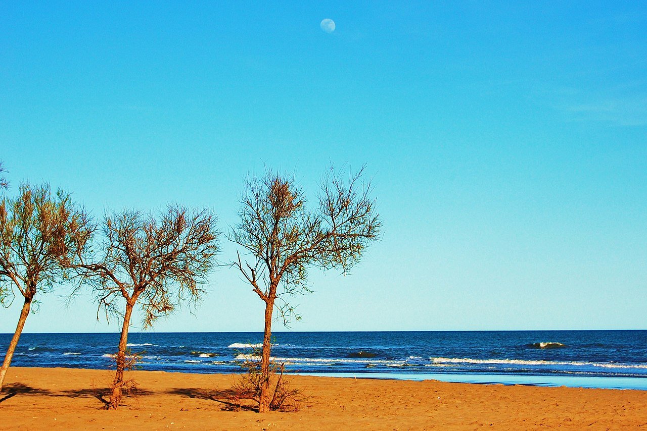 Foto de Playa Illa De Buda por @baseline_wikimedia