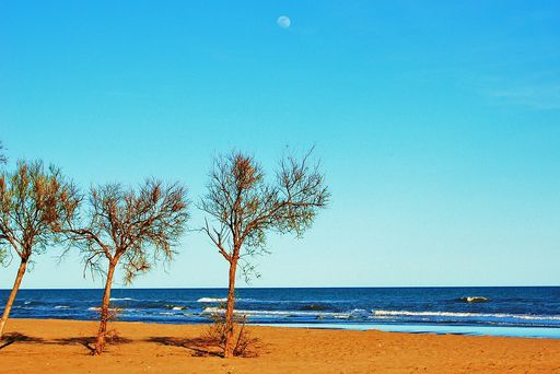 Playa Illa De Buda