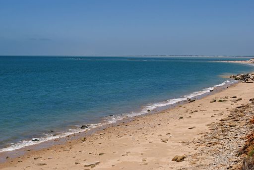 Montijo