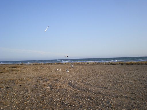 Torregarcía