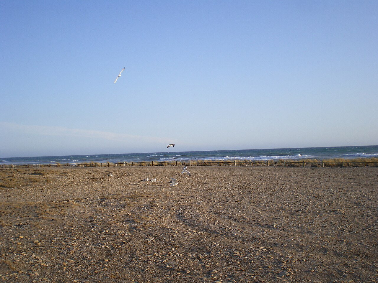 Foto de Torregarcía por @baseline_wikimedia
