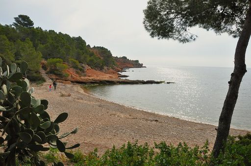 Cap Roig