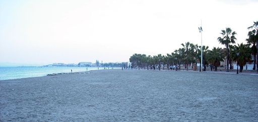 Las Palmeras