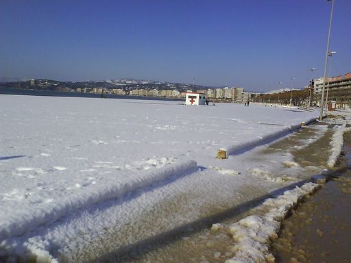 Gran De Palamós