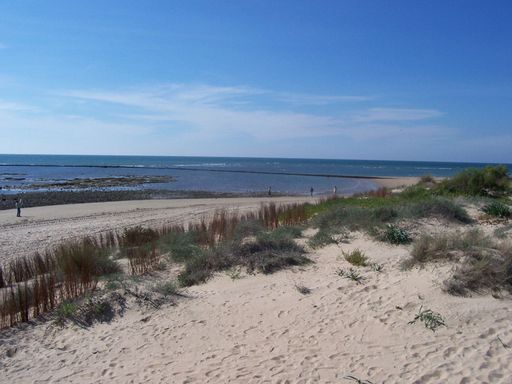 Punta Candor