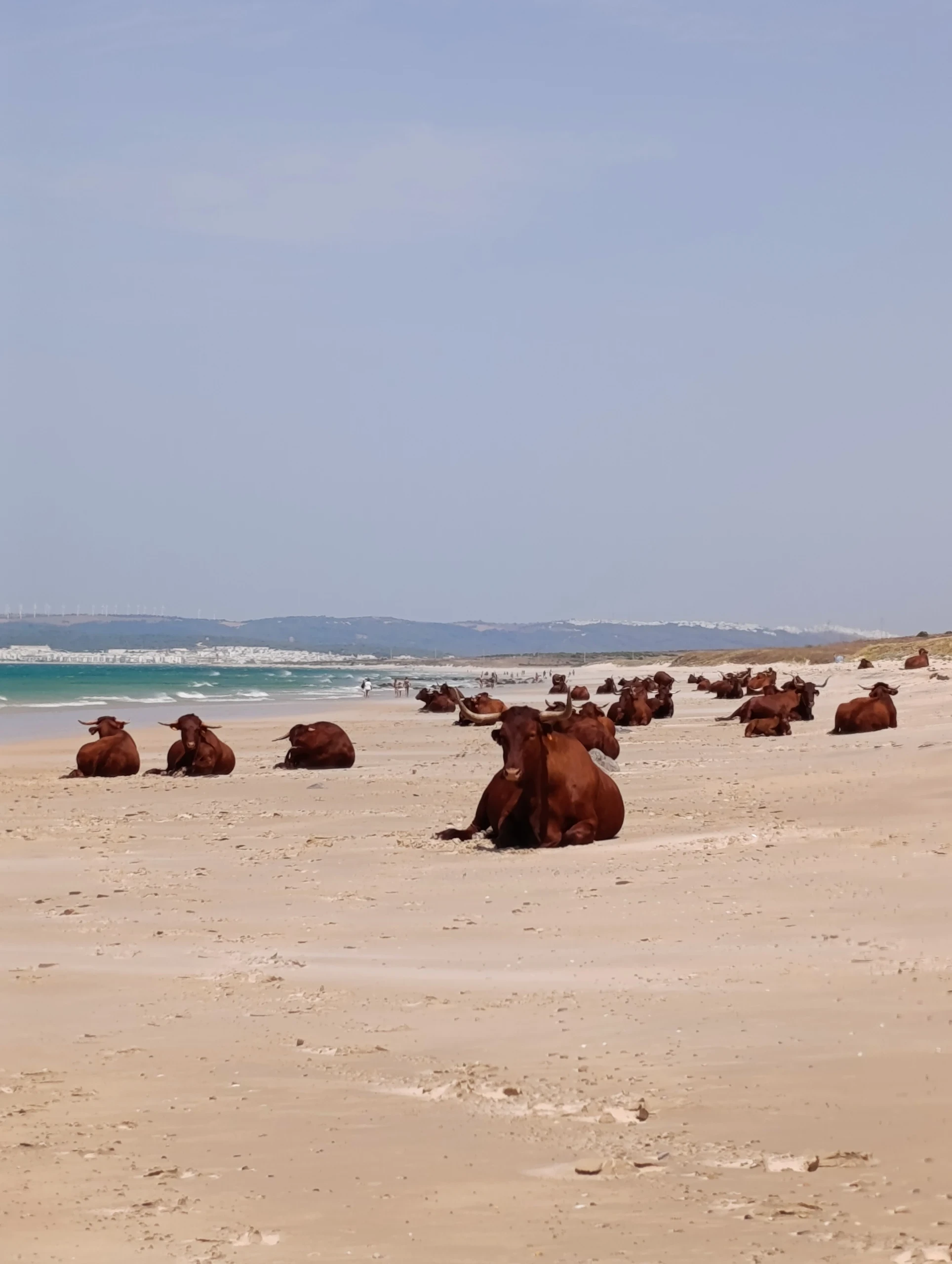 Foto de Playa de Pajares por @nita