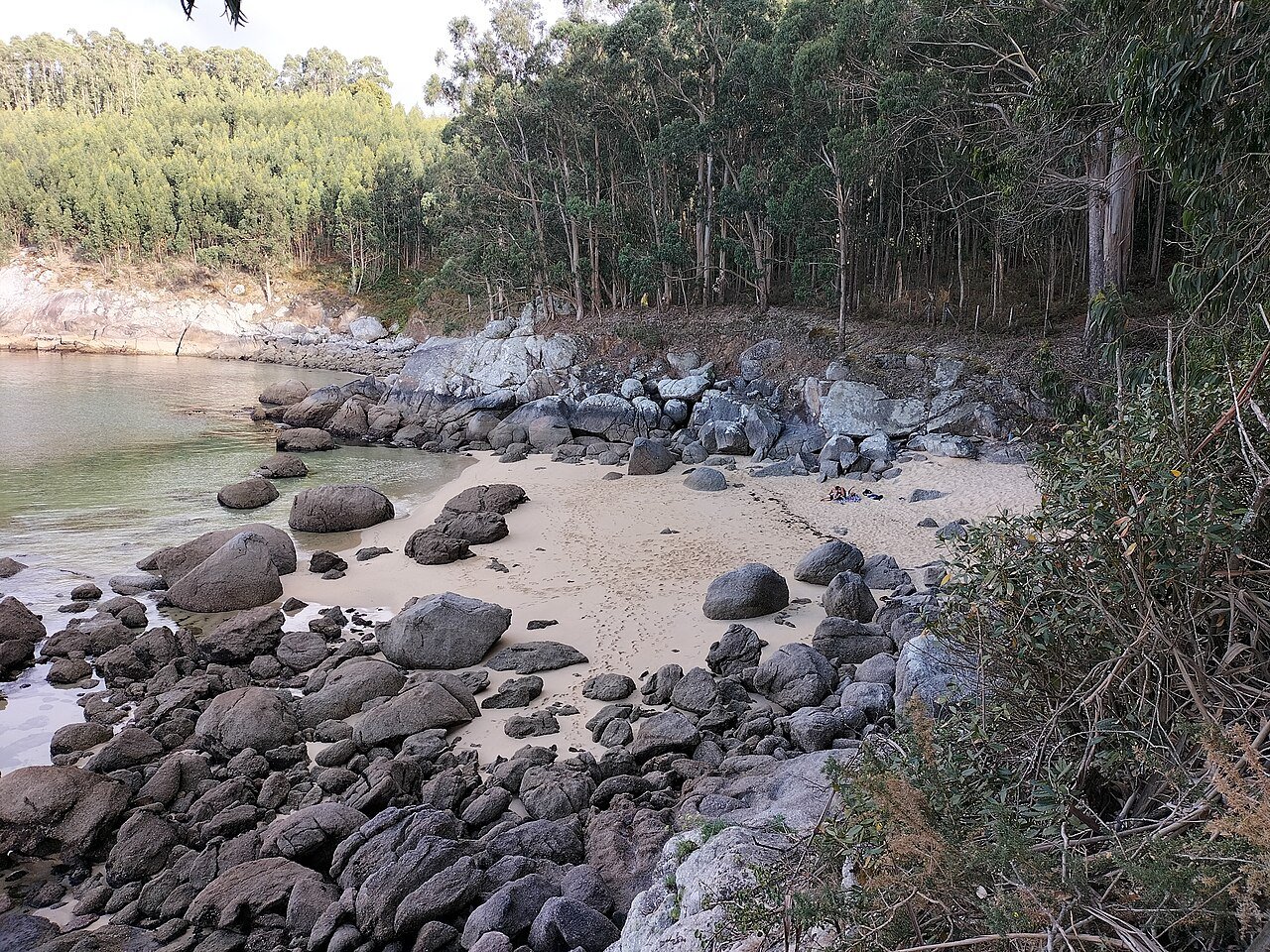 Foto de Sartaxens por @baseline_wikimedia