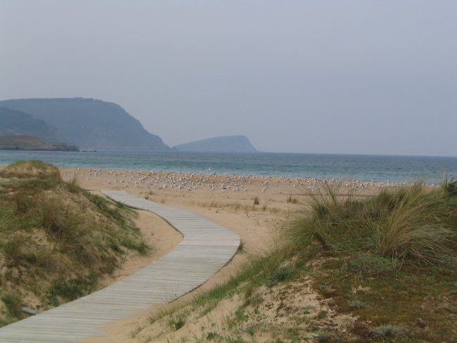 Foto de San Román por @baseline_wikimedia