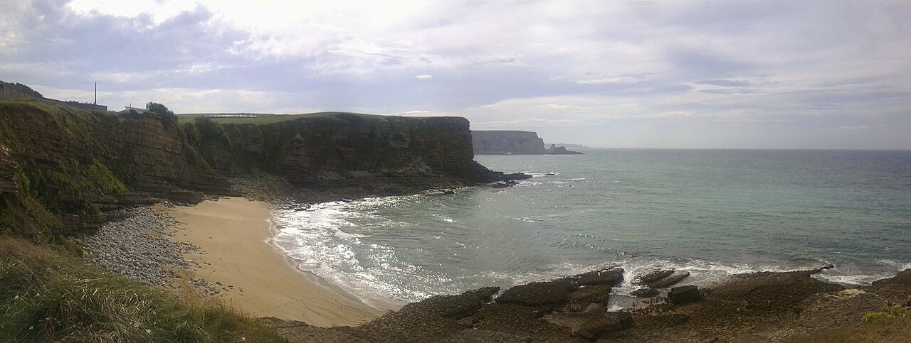 Foto de Arenilla por @baseline_wikimedia
