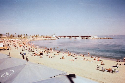 El Papagayo