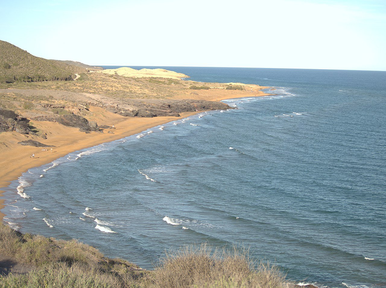 Foto de Larga por @baseline_wikimedia