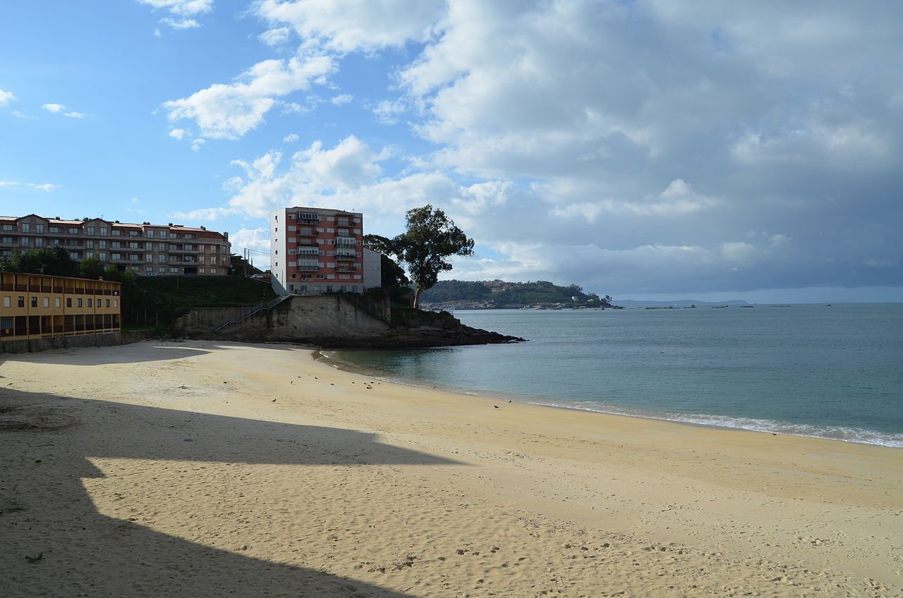 Foto de Loureiro por @baseline_wikimedia