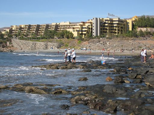 Tarajalillo