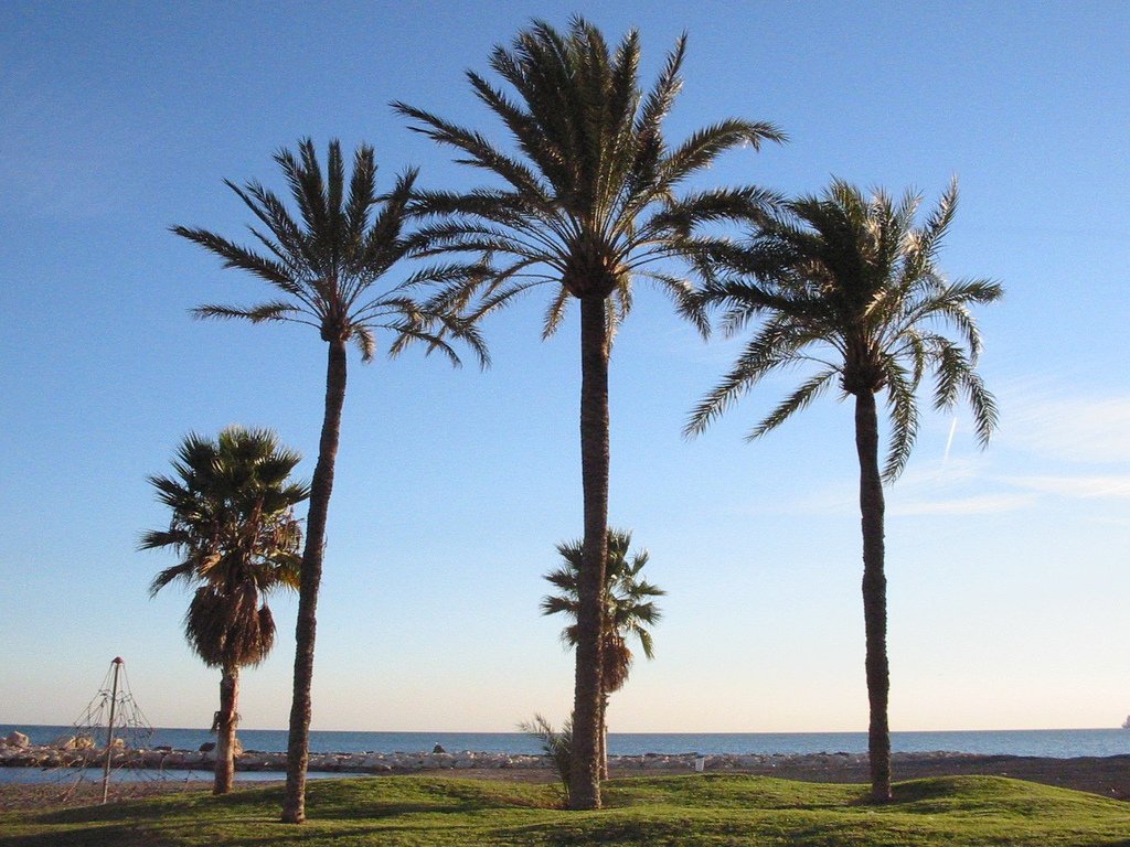Foto de El Palo por @baseline_wikimedia