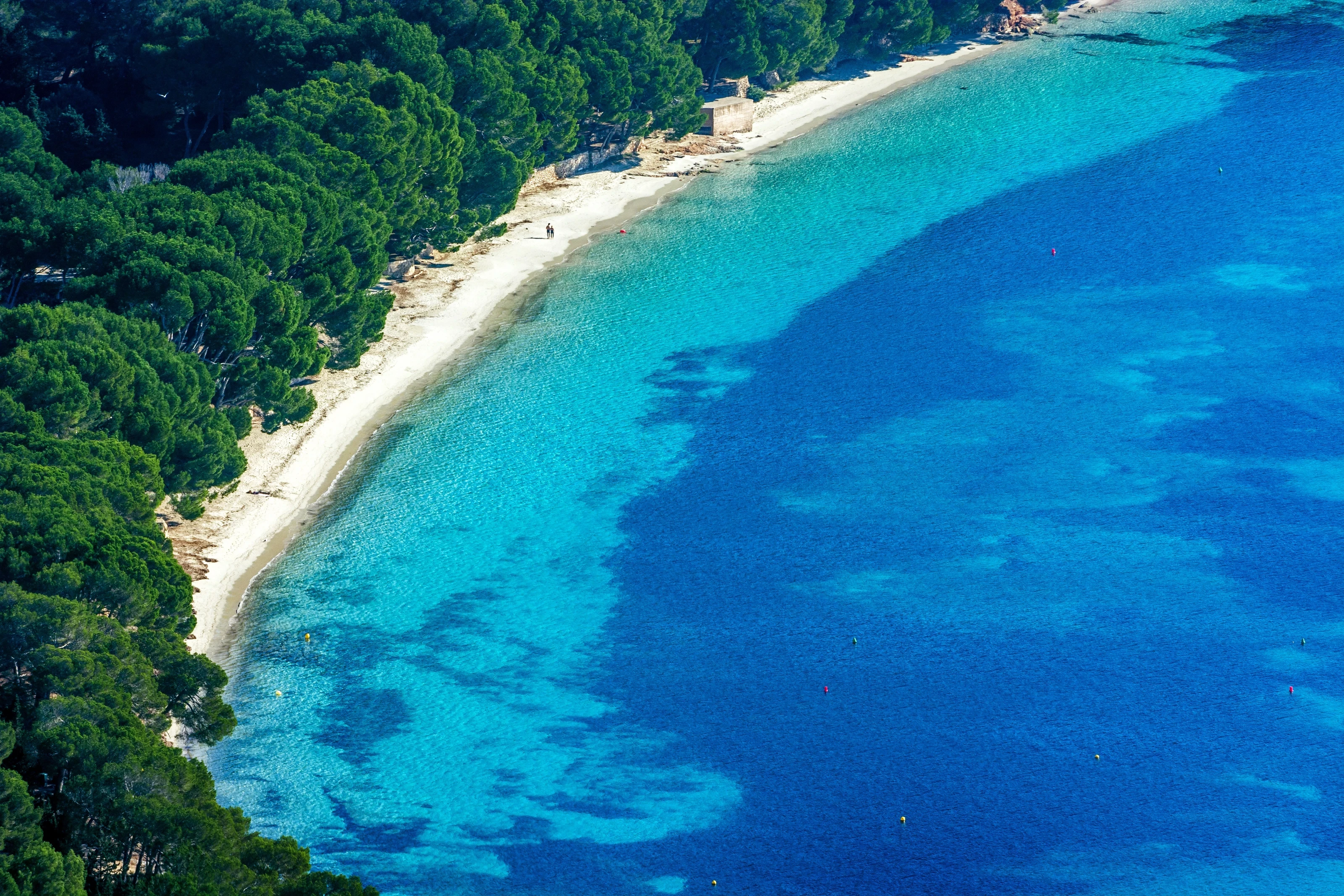 Foto de Cala Formentor por 📸 © Turespaña
Fuente: tourspain.es