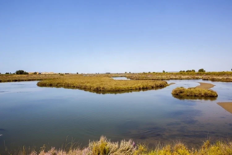 Foto de Punta Del Moral por 📸 © TURISMO ANDALUZ
Fuente: andalucia.org