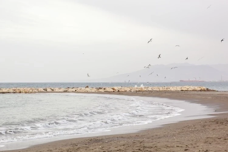 Foto de Pedregalejo por 📸 © TURISMO ANDALUZ
Fuente: andalucia.org