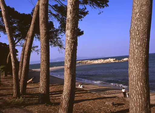 El Portitxol