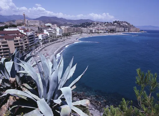 Caletilla