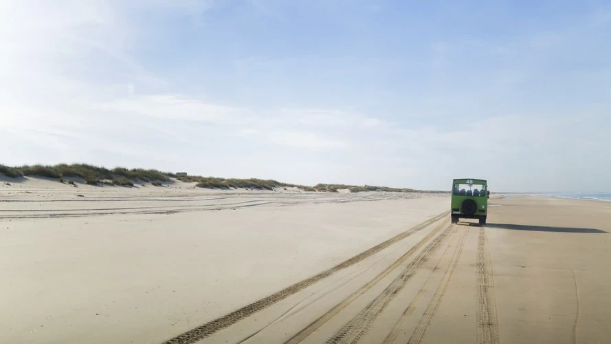 Foto de Doñana por 📸 © TURISMO ANDALUZ
Fuente: andalucia.org