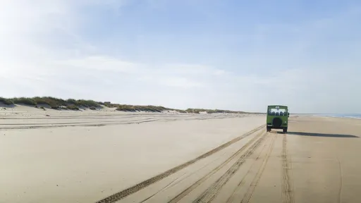 Doñana