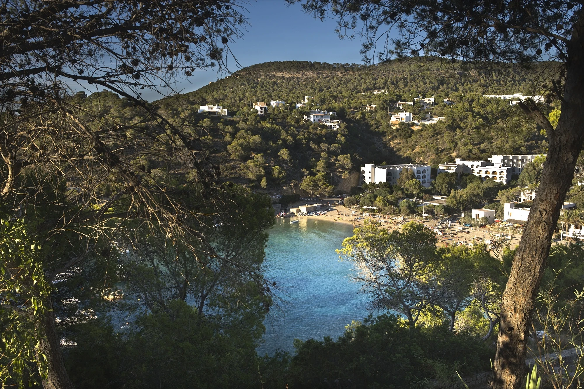 Foto de Cala Vedella por 📸 © Turespaña
Fuente: tourspain.es