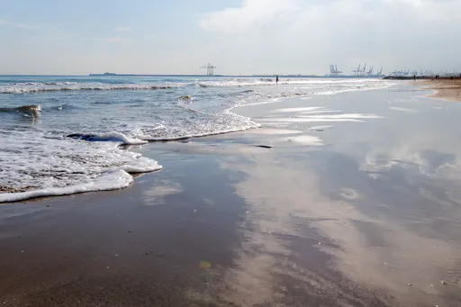 Patacona