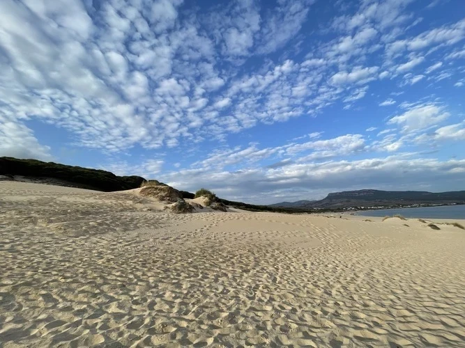 Foto de Bolonia por 📸 © TURISMO ANDALUZ
Fuente: andalucia.org