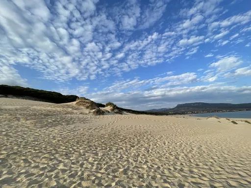 Bolonia