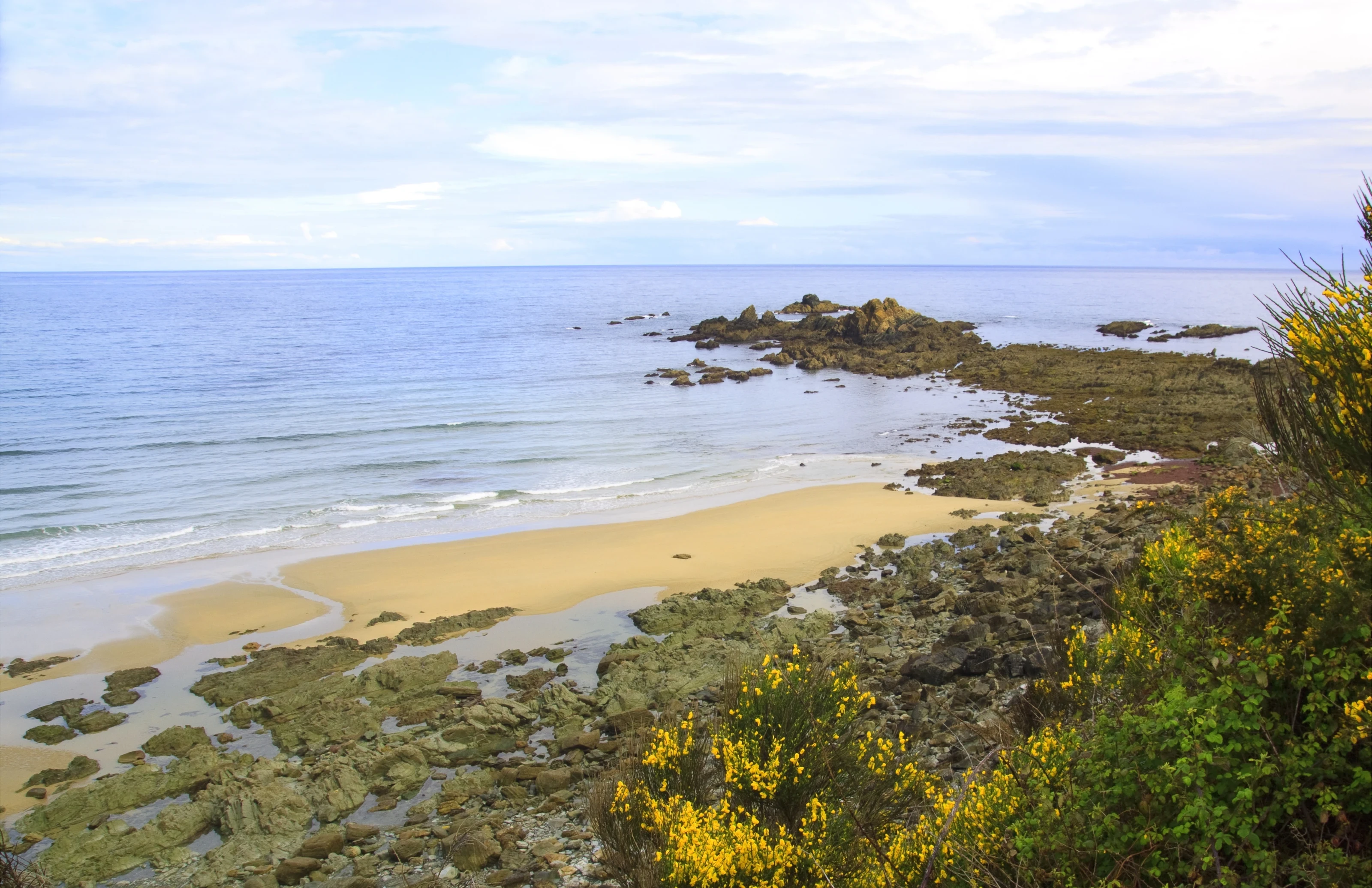 Foto de Las Llanas por 📸 Juanjo Arrojo - Turismo Asturias
