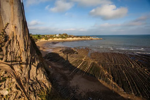 San Pedro De Antromero