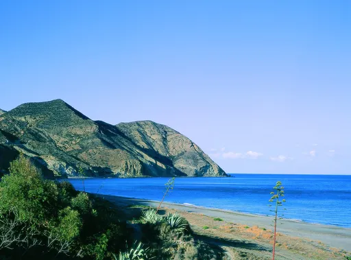 El Algarrobico