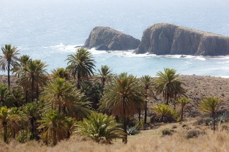 Foto de Peñón Blanco por 📸 © TURISMO ANDALUZ
Fuente: andalucia.org