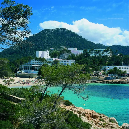 Port De Portinatx
