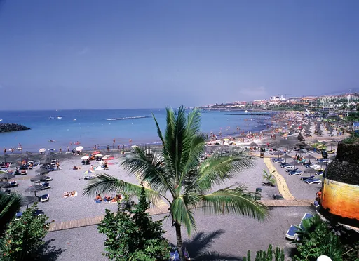 Torviscas